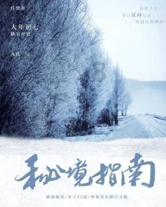 汽车新配的钥匙可以拧动 但是点不着火？游戏画面